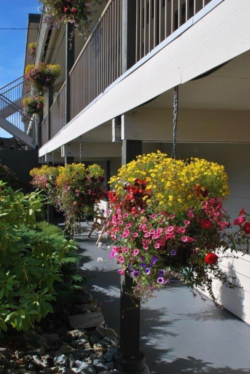 Pacific Rim Motel Юклулет Экстерьер фото